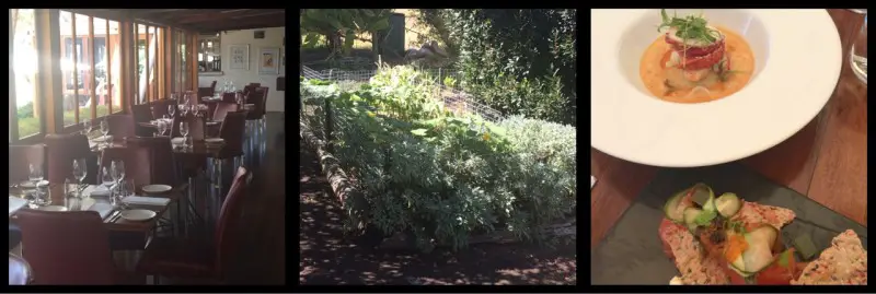 Darry's Verandah Restaurant d'Arenberg Winery McLaren Vale