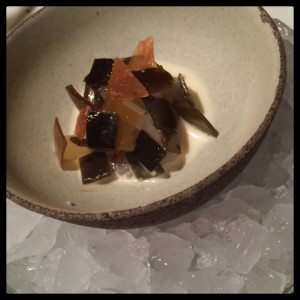 Sliced raw squid & Kelp. Noma. Denmark. Copenhagen