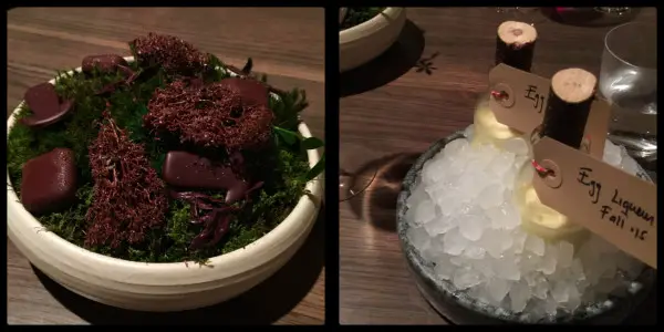 Forest flavours, chocolate adn egg liqueur. Noma. Copenhagen. Denmark