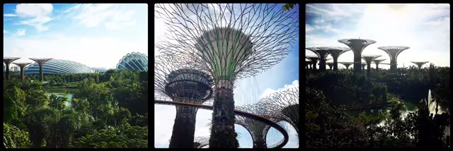 Gardens by the Bay. Singapore.