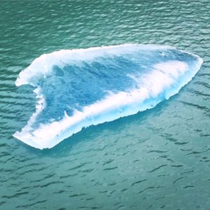 Dawes Glacier. Endicott Arm. Alaska.