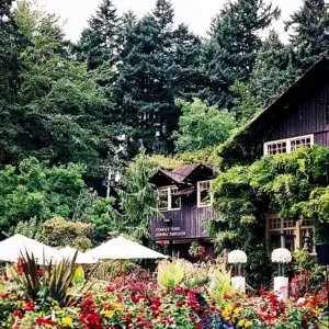 Stanley Park. Vancouver. BC. Canada.