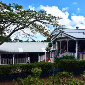 Moontville. Sunshine Coast. Queensland. Australia.