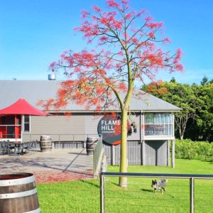 Flame Hill. Montville. Sunshine Coast. Queensland. Australia.