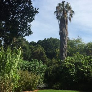 Botanic Gardens. Adelaide. South Australia. Australia.