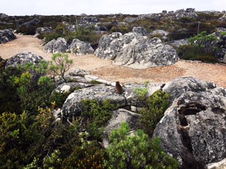 Capetown. South Africa.