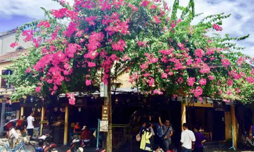 Hoi An Ancient Town. Vietnam.