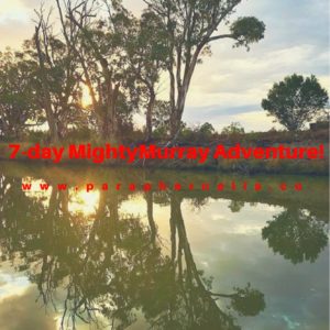 Murray River Houseboat Adventure. South Australia