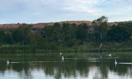 Murray River Houseboat Adventure. South Australia