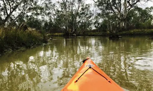 Murray River Houseboat Adventure. South Australia