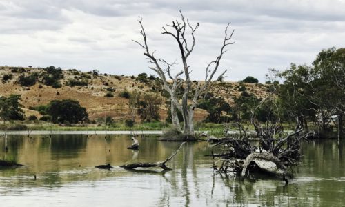 Murray River Houseboat Adventure. South Australia