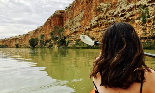 Murray River Houseboat Adventure. South Australia