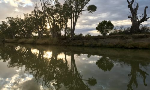 Murray River Houseboat Adventure. South Australia