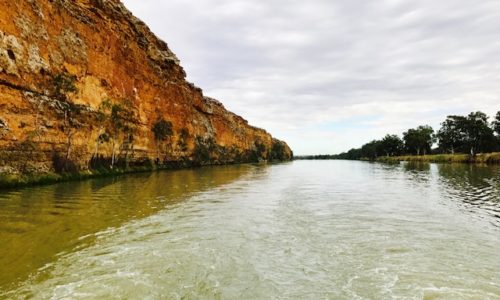 White Houseboats. Mannum. South Australia