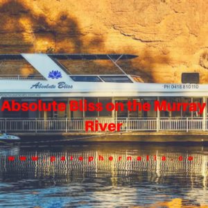 White Houseboats. Mannum. South Australia