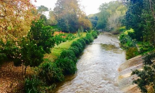 The Spier Experience. South Africa.