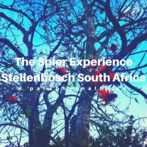 The Spier Experience. South Africa.