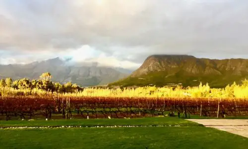 Franschhoek Wine Tram. South Africa.