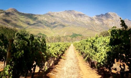 Stellenbosch Wine Route. South Africa.