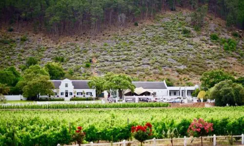 Franschhoek Wine Tram. South Africa.