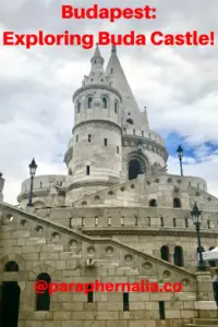 Buda Castle. Budapest. Hungary.