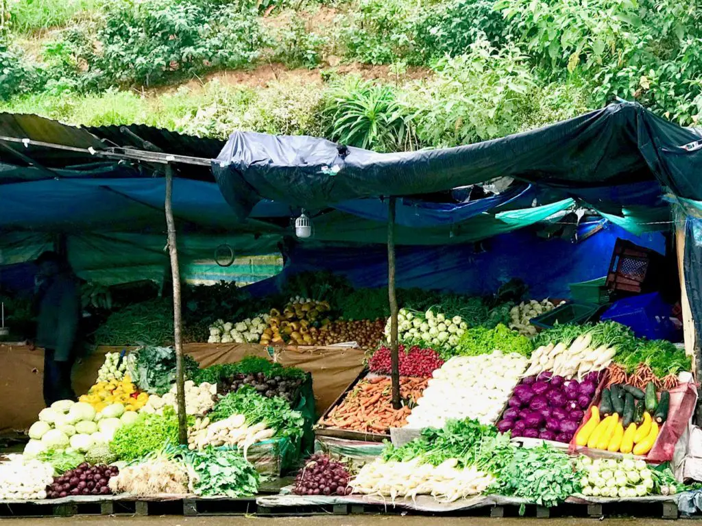 Nuwara Eliya. Sri Lanka.