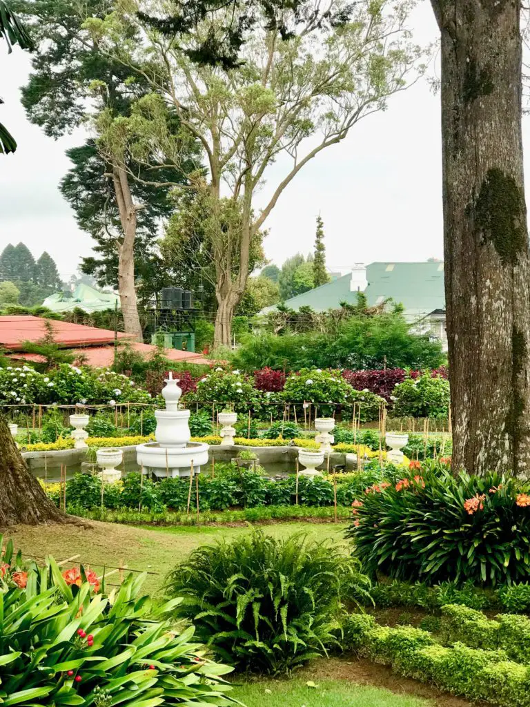 Nuwara Eliya. Sri Lanka.