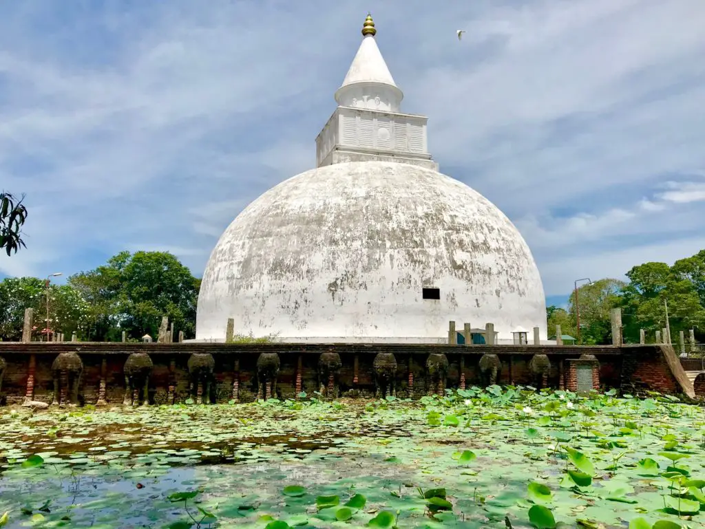 Yala. Sri Lanka.