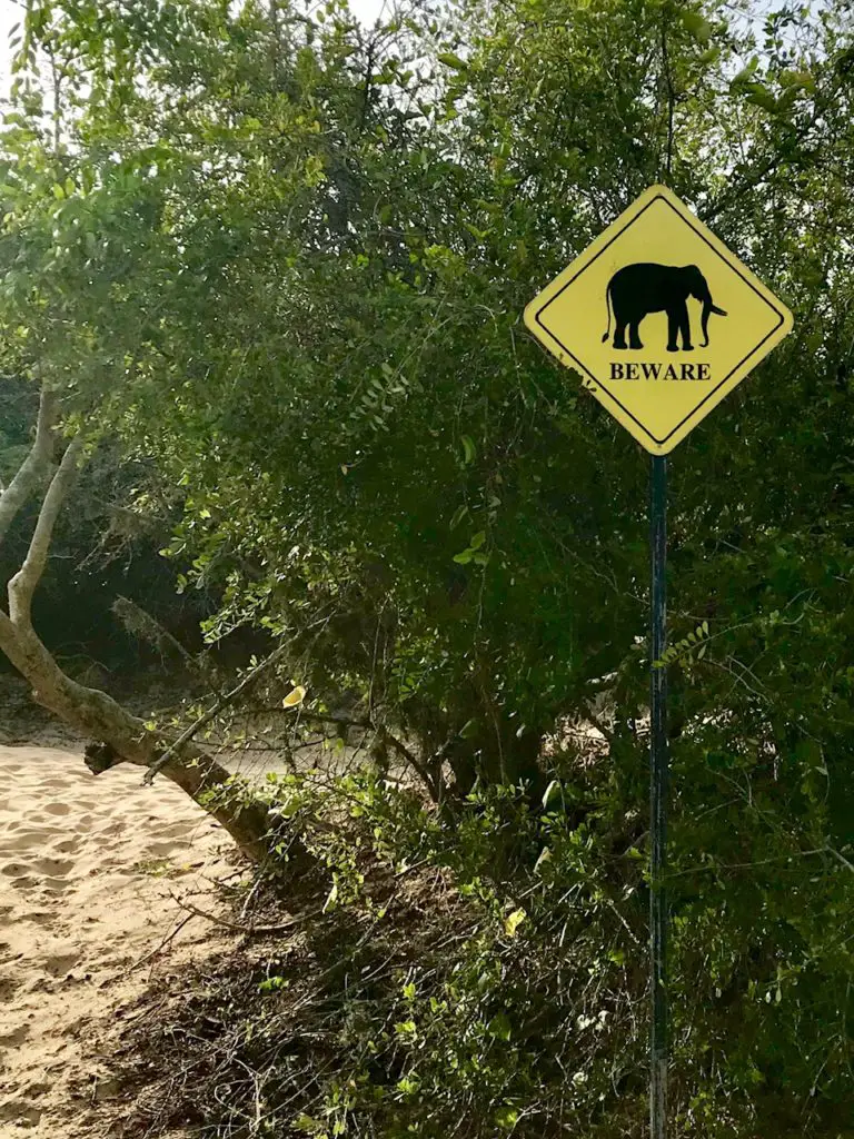 Yala. Sri Lanka.