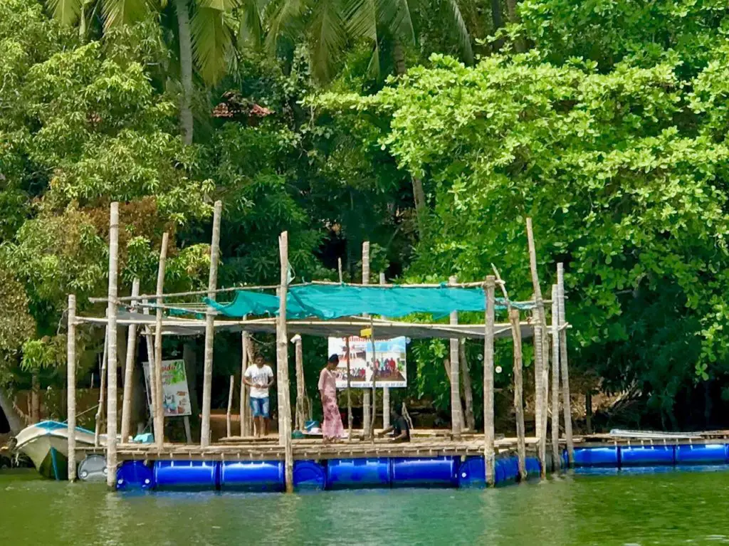 Negombo. Sri Lanka.