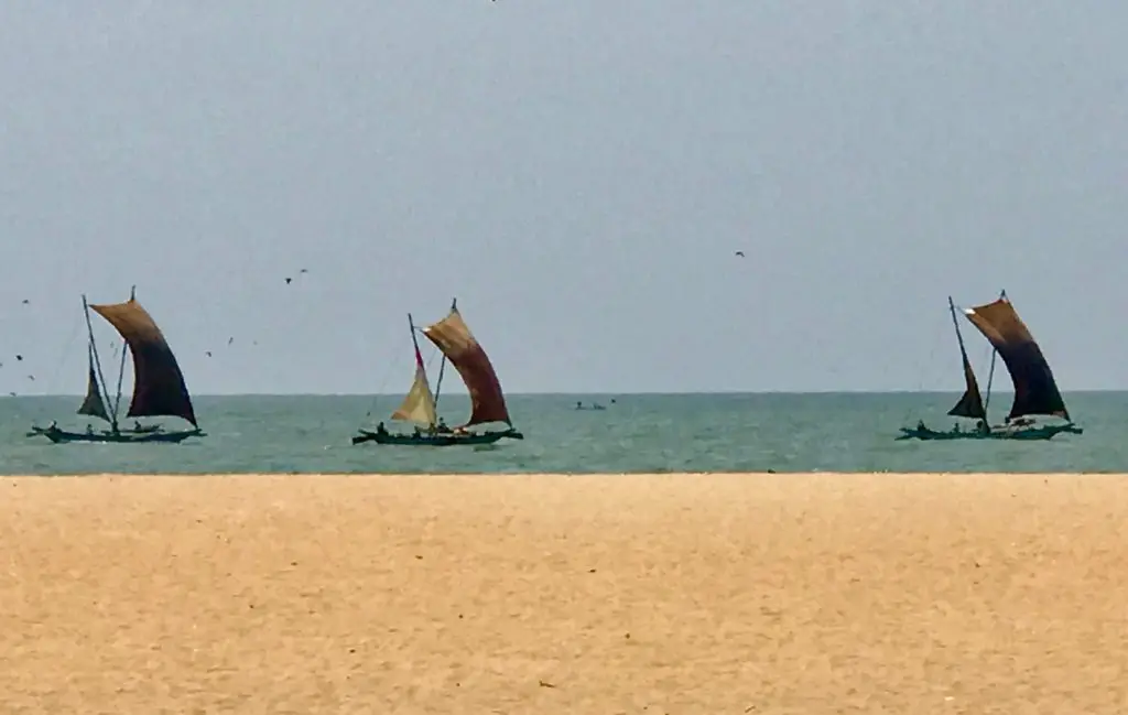 Negombo. Sri Lanka.